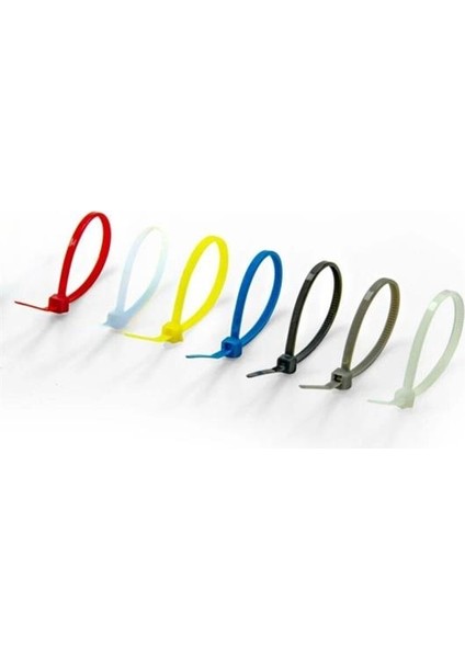 30 Parça Plastik Kablo Kelepçe Seti Kablo Düzenleyici Bağlama Bantları (4767) - BLS4589-9744