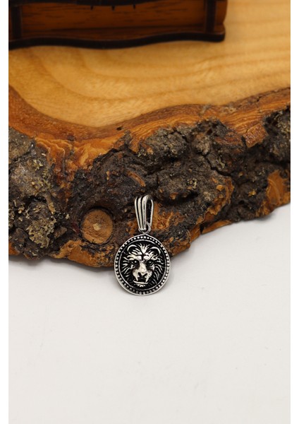Aslan Büstü Model 925 Ayar Gümüş Erkek Kolye 201024251 modelleri