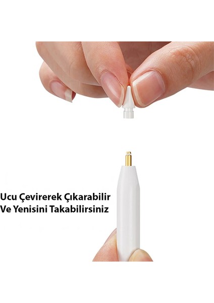 Dux Ducis Apple Pencil Için Yedek Uç 2 ADET-(5775) - BLS9808-2622