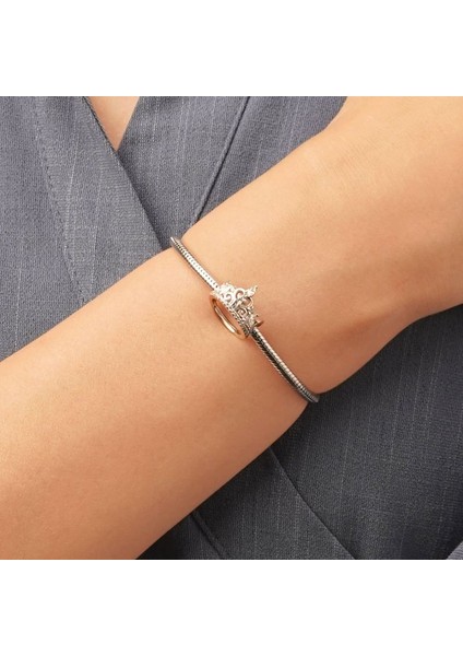 Sindirella (Külkedisi) Taç Charm, 925 Ayar Gümüş fırsatları