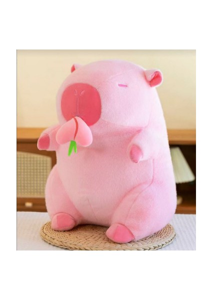 55CM Sevimli Kapia Peluş Oyuncak Bebek Yastık Hediye (Yurt Dışından)