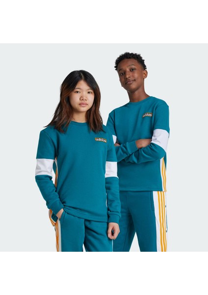 Düz Erkek Çocuk Yeşil Sweatshırt IW6013-CREW