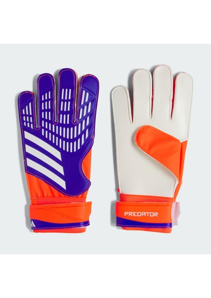 Performance IX3870 Predator Training Goalkeeper Gloves