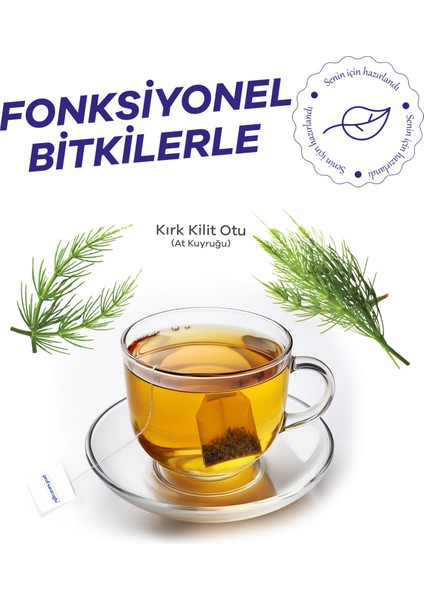Atkuyruğu Kırkkilitotu (Equisetum Arvense) Bitki Çayı fiyatları