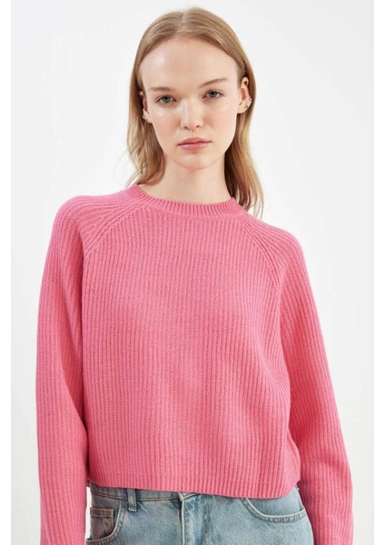 Coool Regular Fit Bisiklet Yaka Basic Düz Triko Kazak L2567AZ24WN