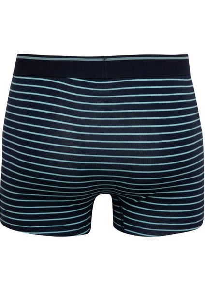 Regular Fit Çizgili 3'lü Boxer C3848AX24SM