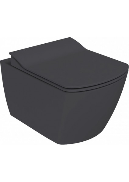 Elegant Rim-Off Duroplast Yavaş Kapanan Klozet Kapaklı Mat Antrasit Set