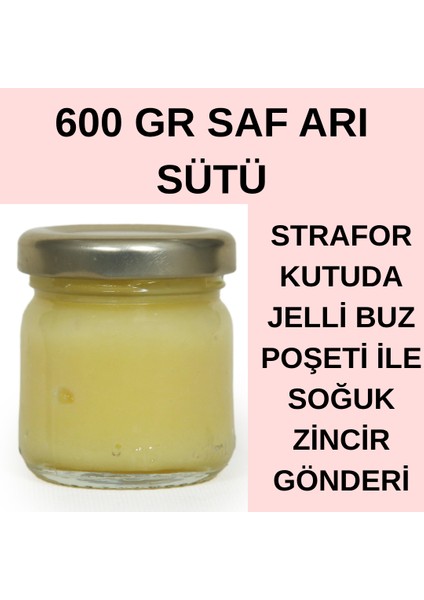 600GR Saf Arı Sütü(Hızlı Soğuk Zincirgönderim)Tahta Kaşık Hediye
