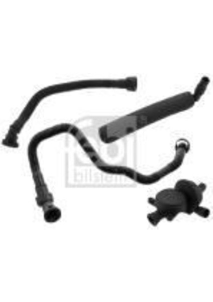 Febı 100703 Yağ Seperator Seti Bmw E87 E46 E90 E91 X3 E83 Lcı E83 Z4 E85 N42 N46