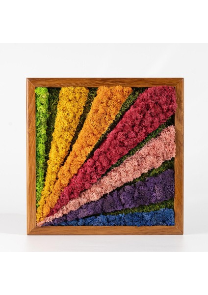 30X30 cm Renkli Yosun Tablo | El Yapımı Bakım Gerektirmeyen Doğal Duvar Dekoru | Modern Bitki Temalı Çerçeveli Tasarım fiyatları