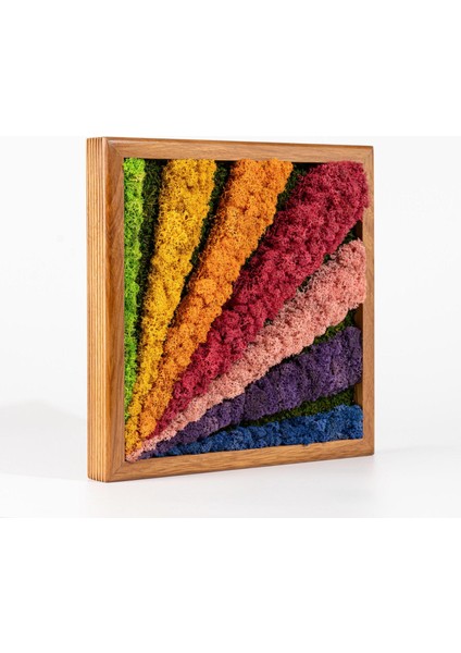 30X30 cm Renkli Yosun Tablo | El Yapımı Bakım Gerektirmeyen Doğal Duvar Dekoru | Modern Bitki Temalı Çerçeveli Tasarım modelleri