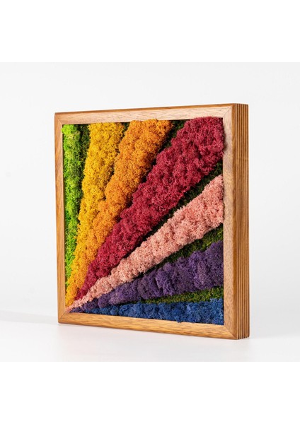 30X30 cm Renkli Yosun Tablo | El Yapımı Bakım Gerektirmeyen Doğal Duvar Dekoru | Modern Bitki Temalı Çerçeveli Tasarım fırsatları