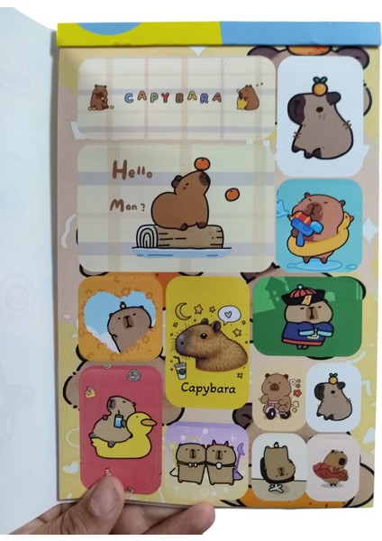 Capybara Sticker Albüm 16 Sayfa 250'DEN Fazla Birbirinden Farklı Renkli Etiket Çeşitleri fiyatları