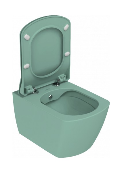 Elegant Rim-Off Duroplast Yavaş Kapanan Klozet Kapaklı Nil Yeşili Set modelleri