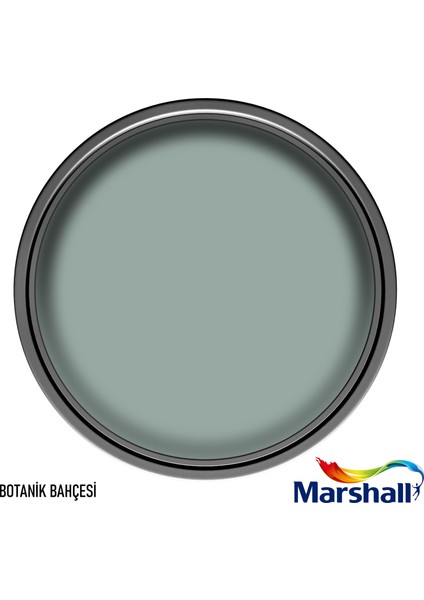 Luxe Aqua Parlak Su Bazlı Yağlı Boya 2,5 Lt Botanik Bahçesi fiyatları