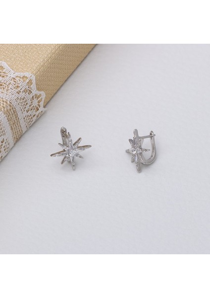 Kuzey Kutup Yıldızı Model-2 925 Ayar Gümüş Zirkon Taşlı Kadın Küpe modelleri