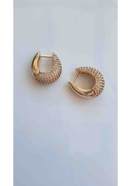 Zirkon Taşlı Küpe Gold fiyatları