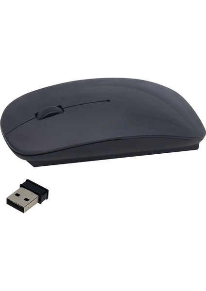 2.4 Ghz 1600 Dpı Kablosuz Mouse HL-19092