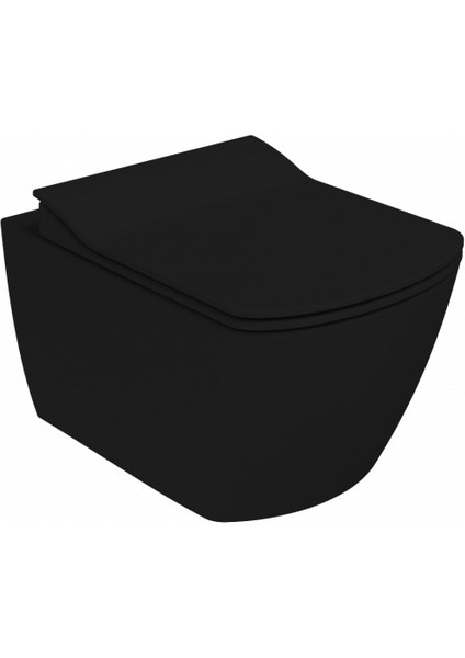 Elegant Rim-Off Duroplast Yavaş Kapanan Klozet Kapaklı Kömür Karası Set