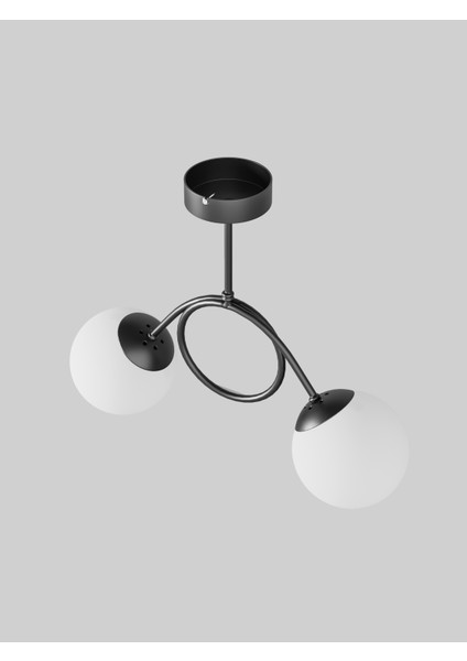 Arven Modern Metal Gövdeli 2'li Cam Küre Avize | Yay Formlu Aydınlatma Avize Modeli