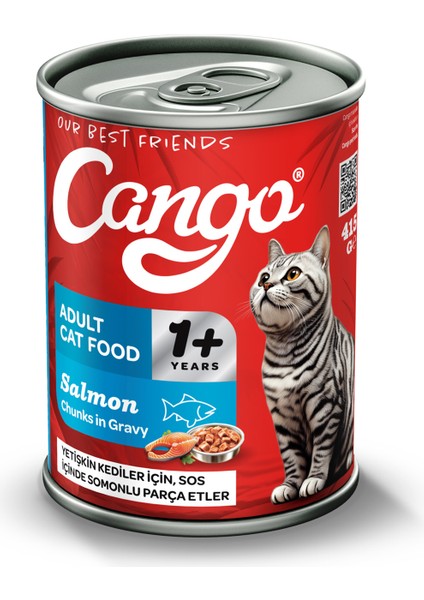 Cango Yetişkin Kedi Yaş Maması Somonlu 415 gr