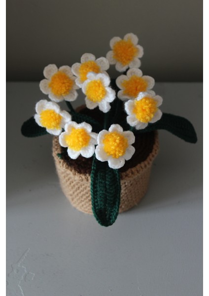 Saksıda Çoklu Papatya, Örgü Çiçek Buketi fiyatları