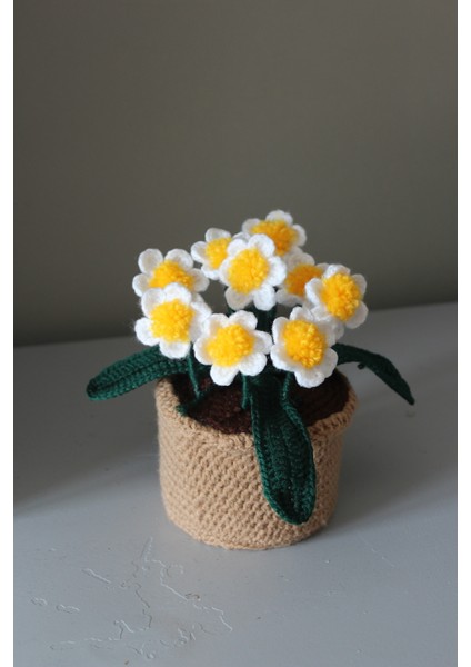 Saksıda Çoklu Papatya, Örgü Çiçek Buketi modelleri