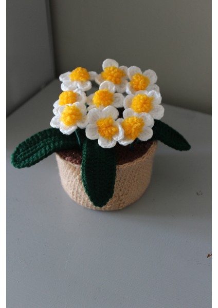 Saksıda Çoklu Papatya, Örgü Çiçek Buketi fırsatları