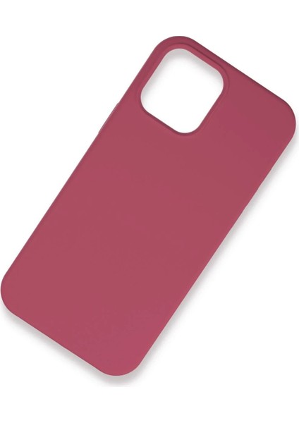 Newface iPhone 12 Pro Kılıf Lansman Legant Silikon - Fuşya