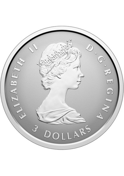 Agakulche Maple Leaf Set 2025 Gümüş Sikke Coin