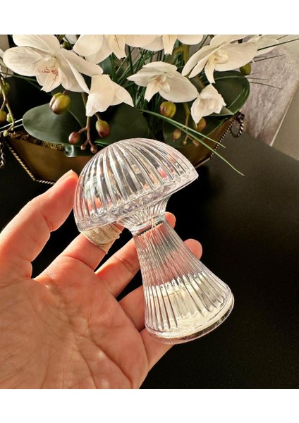 Mantar Model Pilli LED Masa Lambası 10 cm Ev Ofis Kullanımı İçin Şık Tasarım indirimleri