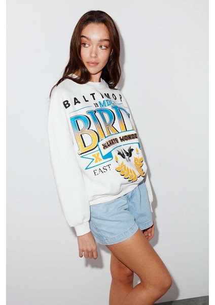 Sanne Oversize Sweatshirt fırsatları