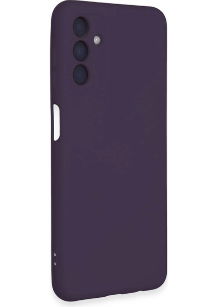 Newface Samsung Galaxy A24 4g Kılıf Nano Içi Kadife Silikon - Mor fiyatları