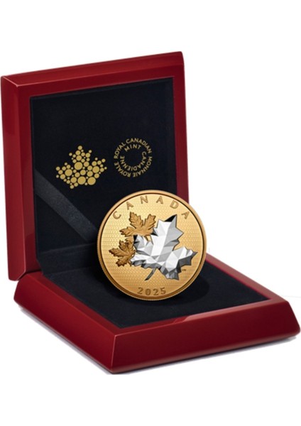 Agakulche Maple Leaves In Motion 2025 Altın Kaplama Gümüş Sikke coin