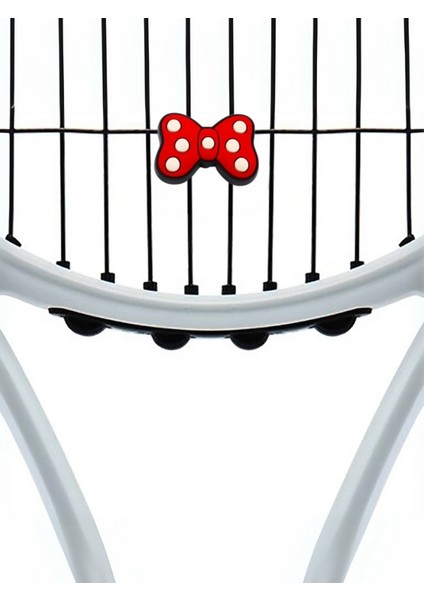 Tenis Titreşim Engelleyici Kortta Duruş