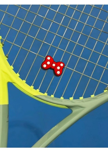 Tenis Titreşim Engelleyici Kortta Duruş