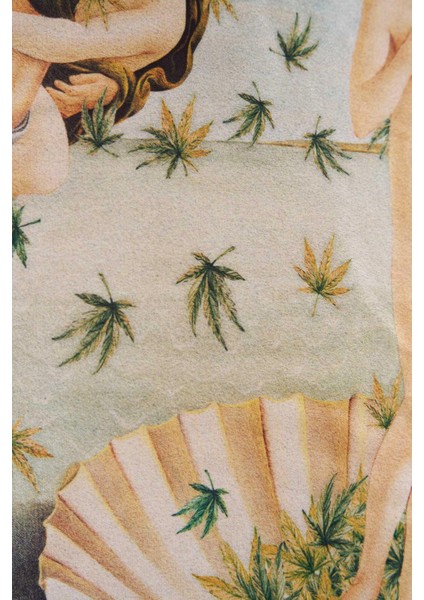 Erkek Venus Covered With Weed Oversize Uzay Grisi Tişört indirimleri