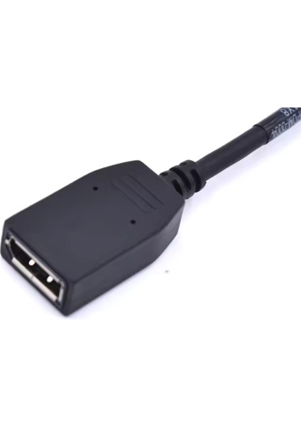 Dell 4 Adet Mini Displayport (Mdp) To Displayport Dönüştürücü Adaptör Kablo (00FKKK)