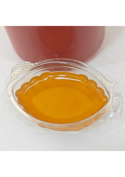 20 - Şeffaf Pigment Boya - Altın - Model:zubi9