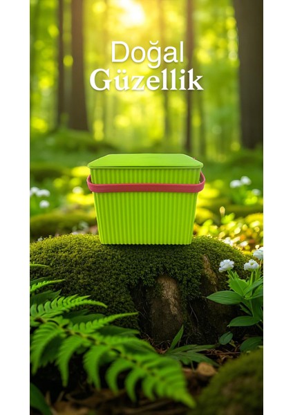 Rainbow 2'li Yeşil Pembe Kare Kova Piknik Sepeti Meyve Kovası modelleri