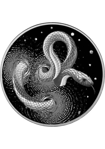 Agakulche Yılan Gümüş Sikke Coin