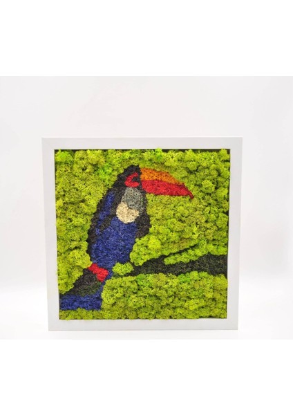 30X30 cm Papağan Temalı Yosun Tablo | El Yapımı, Renkli ve Bakım Gerektirmeyen Duvar Dekoru | Tropikal Doğa Tasarımı indirimleri