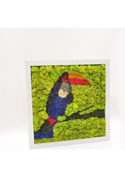 30X30 cm Papağan Temalı Yosun Tablo | El Yapımı, Renkli ve Bakım Gerektirmeyen Duvar Dekoru | Tropikal Doğa Tasarımı