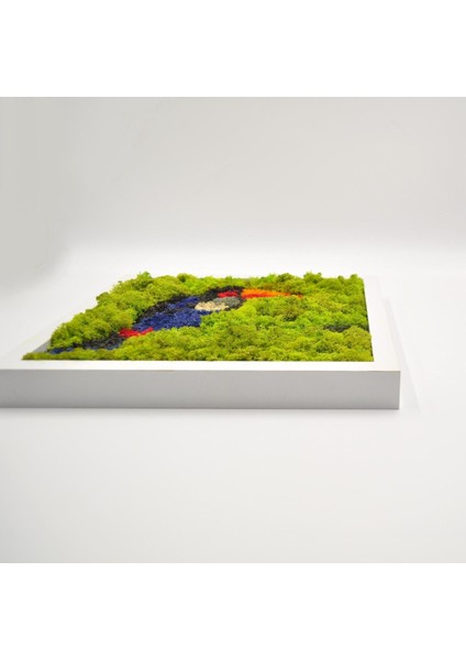 30X30 cm Papağan Temalı Yosun Tablo | El Yapımı, Renkli ve Bakım Gerektirmeyen Duvar Dekoru | Tropikal Doğa Tasarımı
