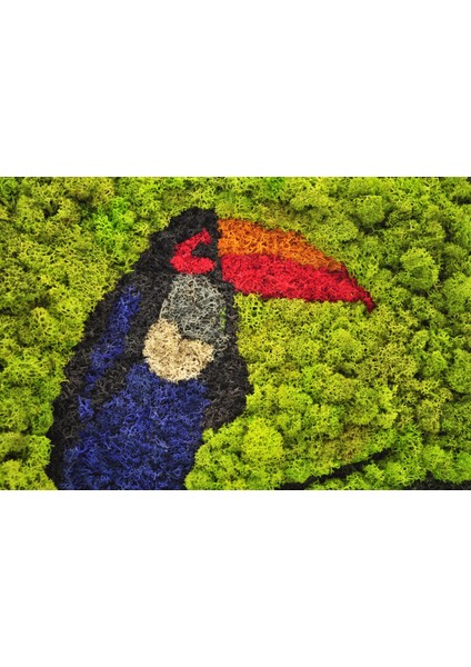 30X30 cm Papağan Temalı Yosun Tablo | El Yapımı, Renkli ve Bakım Gerektirmeyen Duvar Dekoru | Tropikal Doğa Tasarımı