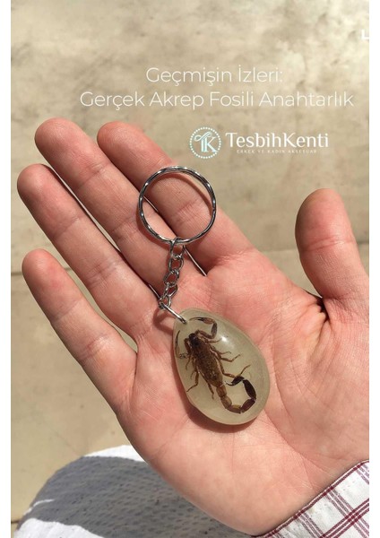 Elite Yeşil Renk Akrep Fosilli Anahtarlık Model 4 1 Adet