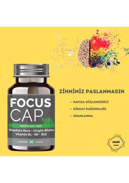 Focus Cap 60 KAPSÜL Alpha-GPC Rhodiola Gingko Biloba