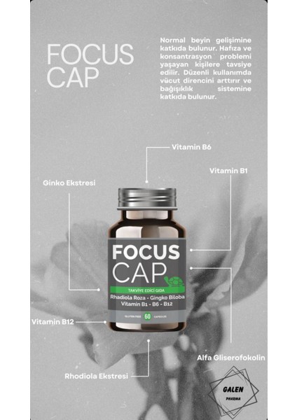 Focus Cap 60 KAPSÜL Alpha-GPC Rhodiola Gingko Biloba