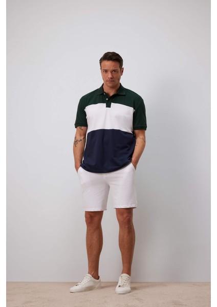 %100 Pamuk Regular Fit Polo Yaka Bloklu Kısa Kollu Tişört D7940AX25SP fiyatları