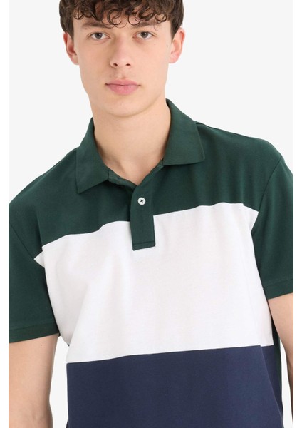 %100 Pamuk Regular Fit Polo Yaka Bloklu Kısa Kollu Tişört D7940AX25SP modelleri